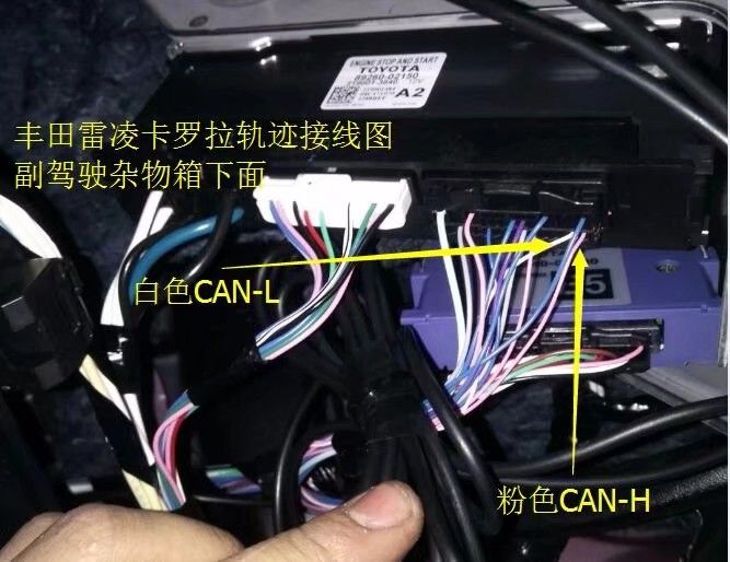 21款卡罗拉雷凌.jpg